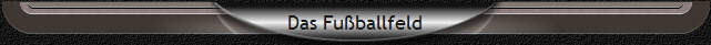 Das Fu�ballfeld